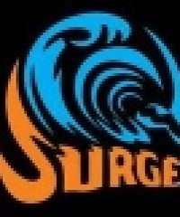 SURGE COMPUTERS TECHNOLOGIES