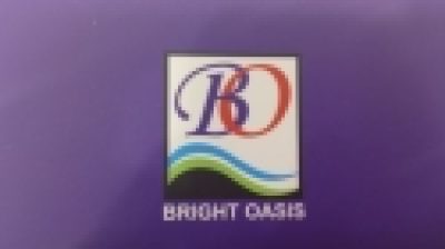 BRIGHT OASIS COMPUTERS TRADING LLC