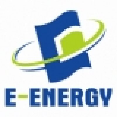 E-ENERGY HOLDING LTD