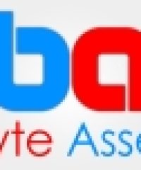 BYTE ASSET