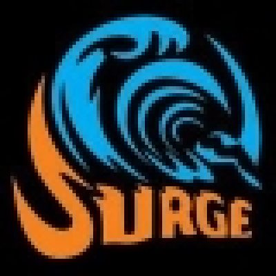 SURGE COMPUTERS TECHNOLOGIES