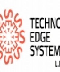 TECHNO EDGE SYSTEMS L.L.C