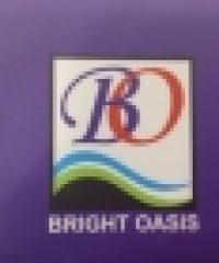 BRIGHT OASIS COMPUTERS TRADING LLC