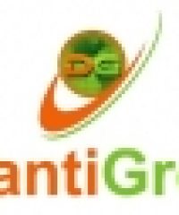 DIVANTI GROUP